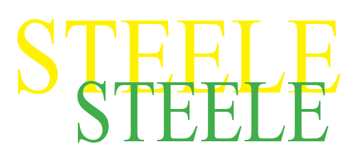Steele Asset management